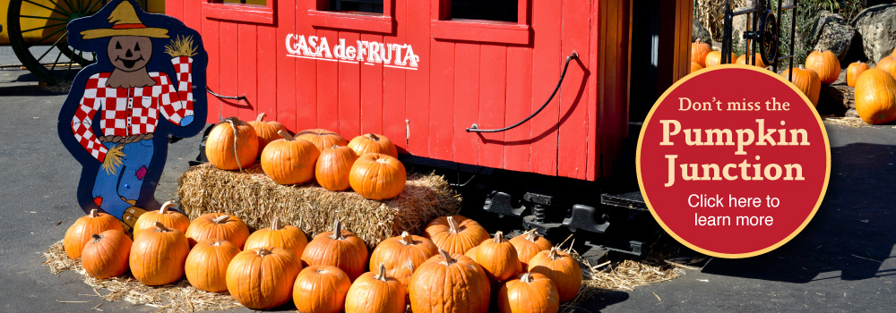 Pumpkin Patch Field Trip - Casa De Fruta